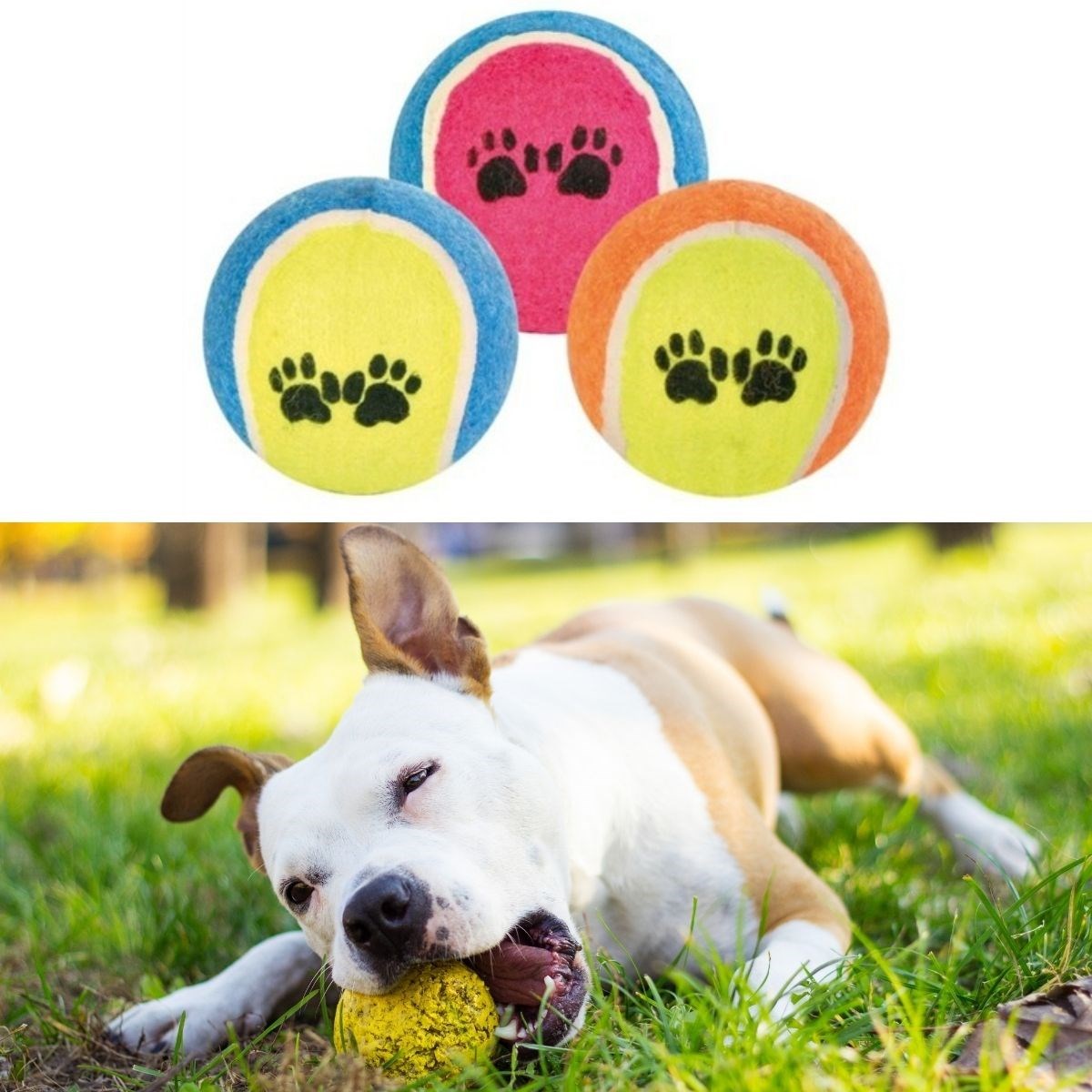 3'lü Renkli Desenli Tenis Topu Kedi Köpek Oyuncağı