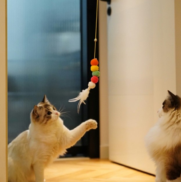 Elastik Kendinden Yapışkanlı Solucan Kedi Oltası
