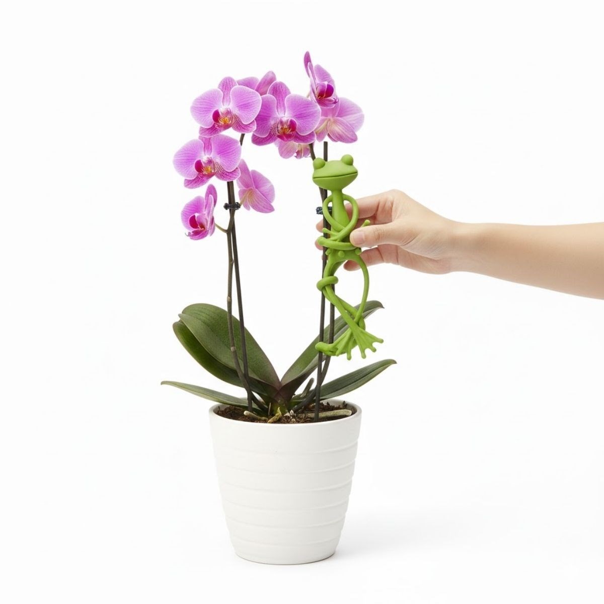 Kurbağa Şeklinde Bitki Sabitleyici – Bahçe ve İç Mekan Bitkileri İçin Dal ve Gövde Destek Aparatı, Çok Amaçlı Bitki Tutucu Klips