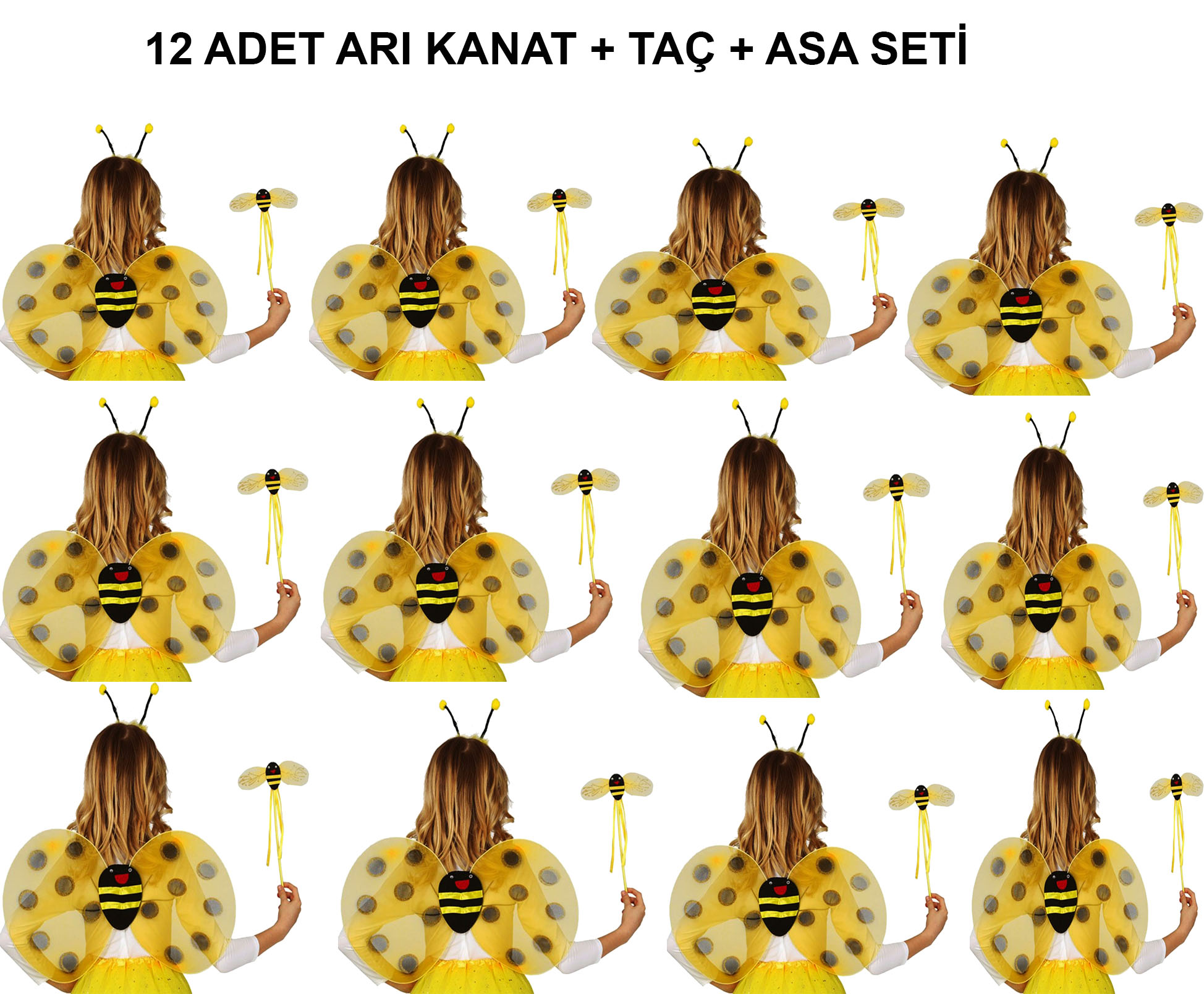 Okul Gösterileri için 12'li Arı Kanadı Seti - Etkinlik Kanatları
