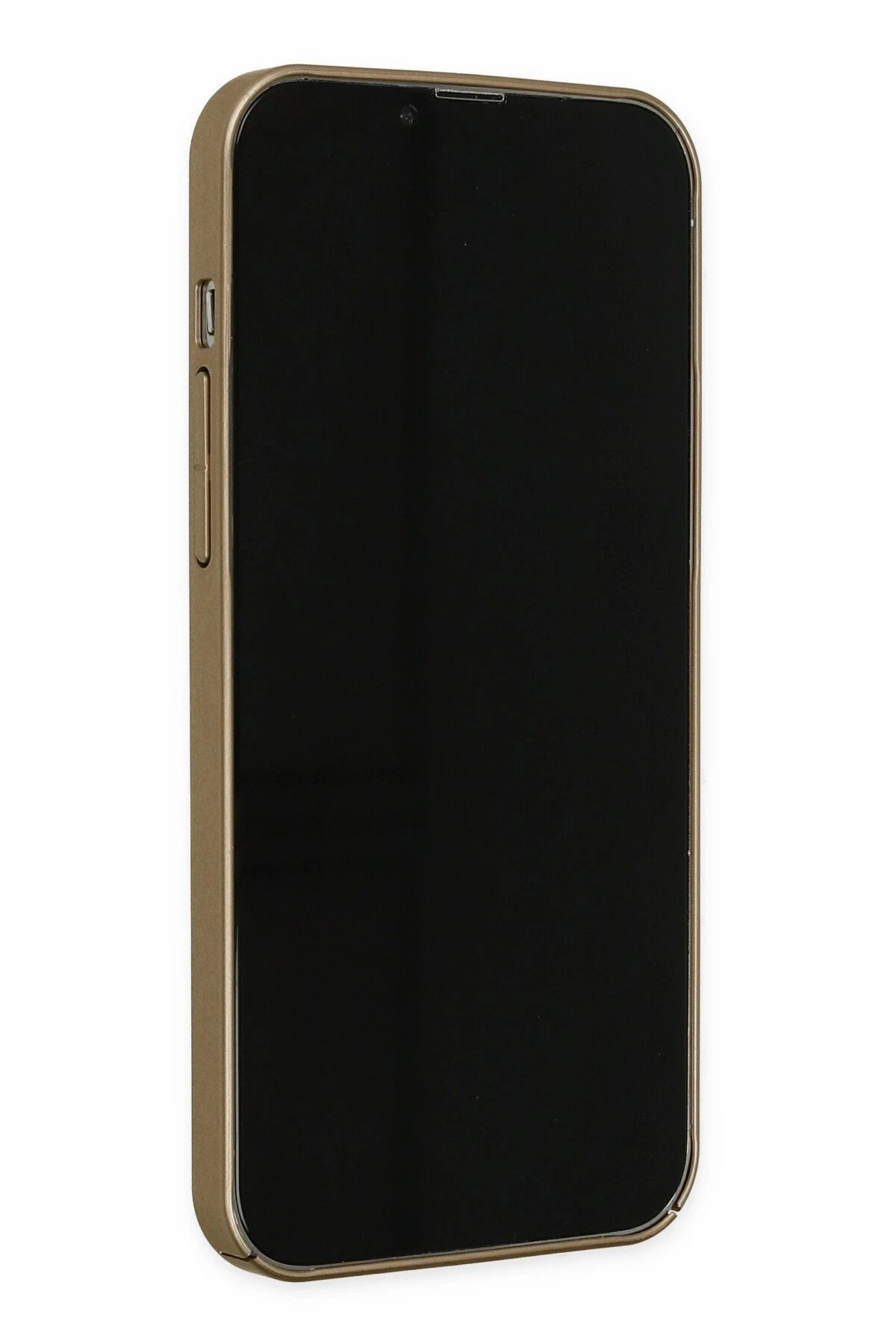 Newface iPhone 13 Pro Kılıf Jack Magneticsafe Lens Silikon - Gold
