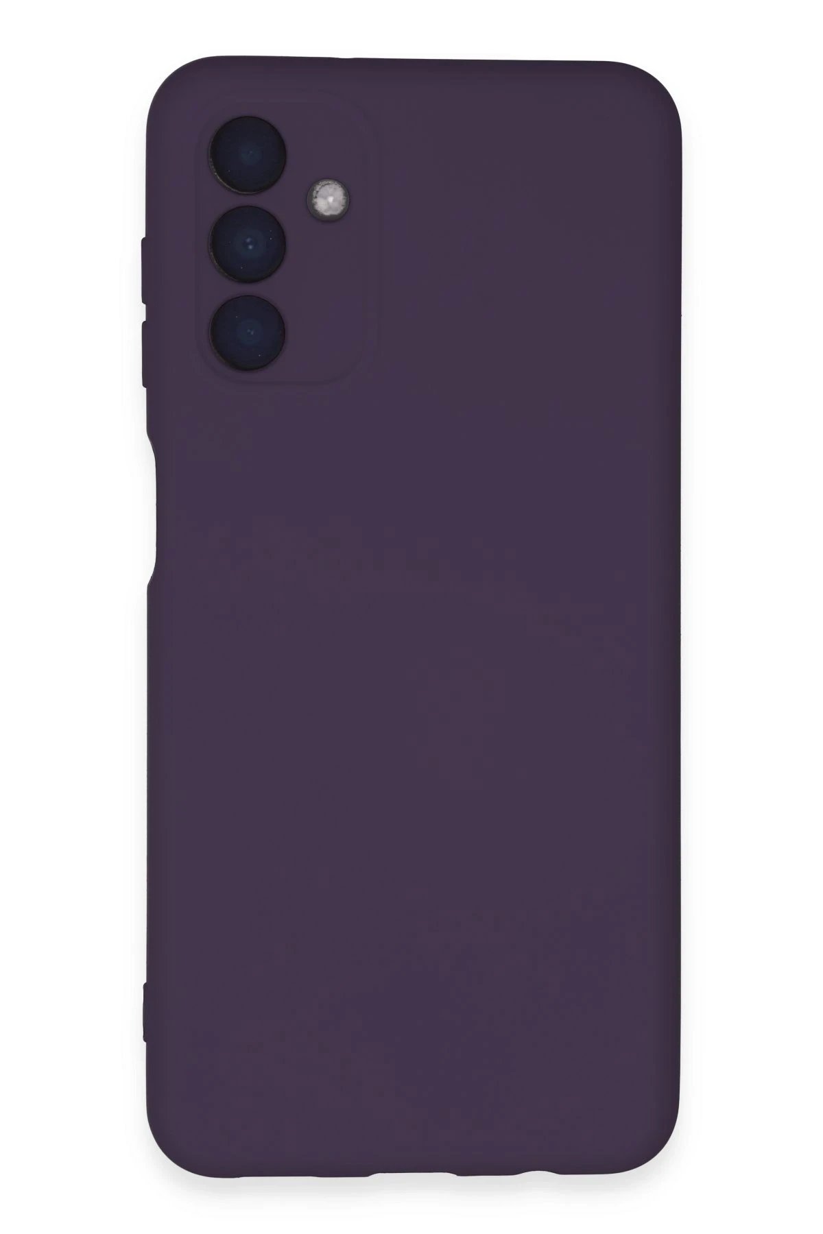 Newface Samsung Galaxy A24 4G Kılıf Nano içi Kadife Silikon - Mor