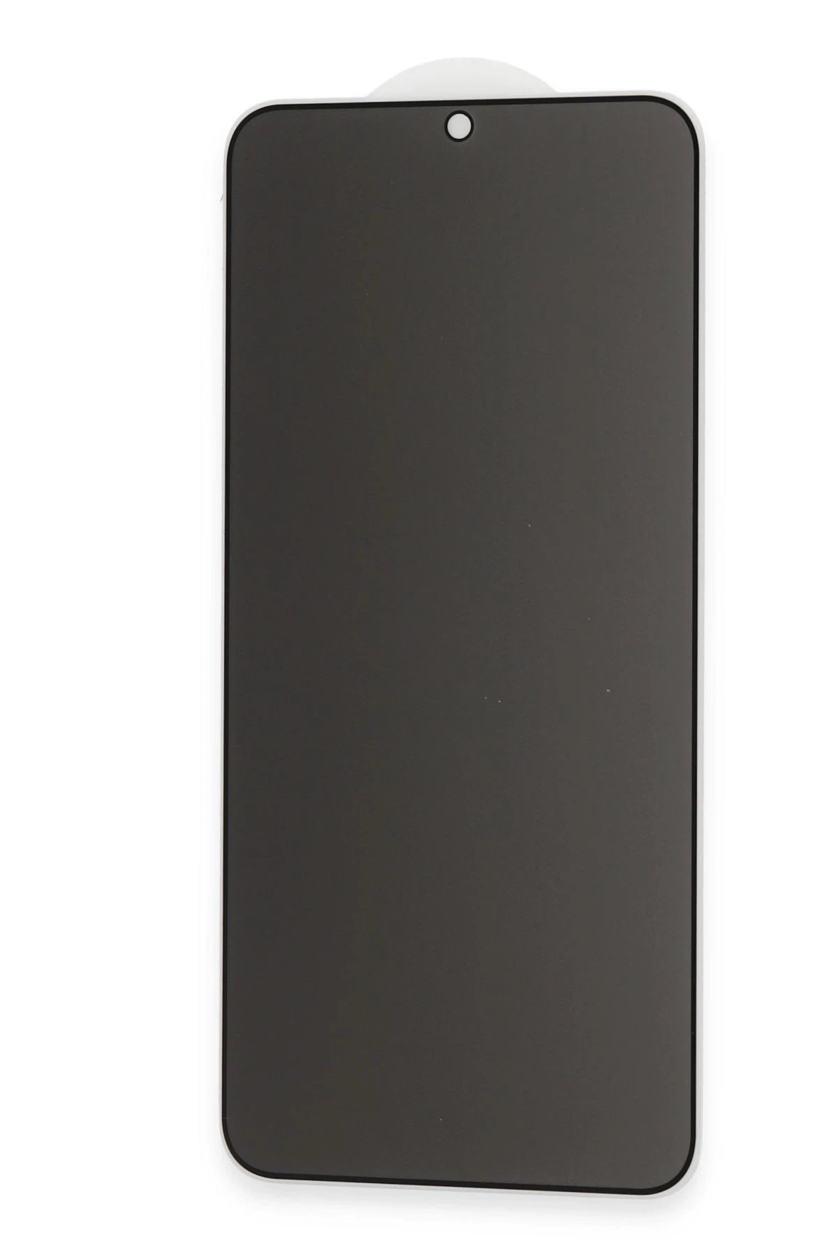 Newface Samsung Galaxy S22 Plus Hayalet Edge Cam Ekran Koruyucu