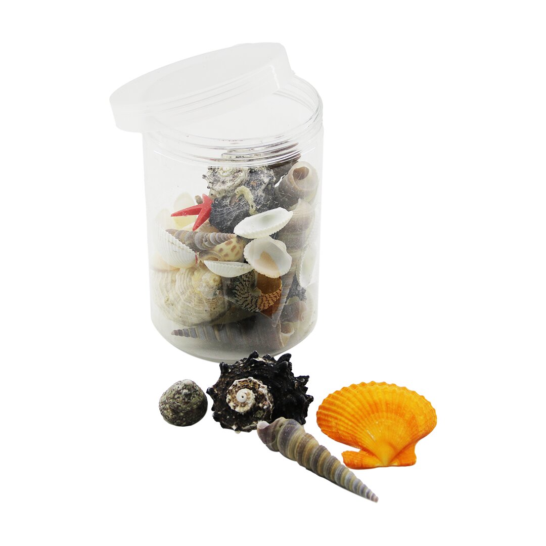 PLASTİK KAVANOZ  MİDYE DENİZ KABUK VAZO TAŞI