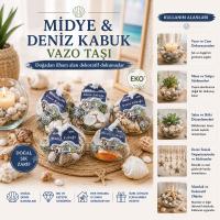 15 ADET FİLELİ RENKLİ MİX EKO MİDYE - DENİZ KABUK VAZO TAŞI
