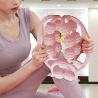 15 Tekerlekli Bacak Boyun Kol Masaj Aleti