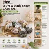 20 ADET FİLELİ RENKLİ MİX EKO MİDYE - DENİZ KABUK VAZO TAŞI