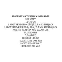 30 CM 300 WATT 12 AKTİF KABİN HOPARLÖR