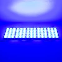 MODÜL LED 12V 6W MAVİ 13660-3030