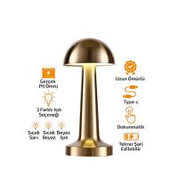 OVAL - METAL MANTAR MASA LAMBASI DOKUNMATİK - RENKLİ TYPE-C ŞARJLI 3 FONKSİYONLU YL86-1231
