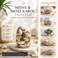 POŞETLİ RENKLİ MİX MİDYE - DENİZ KABUK VAZO TAŞI