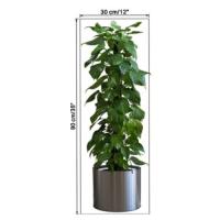 Saksılı Bitki Tasarımlı Yapışkanlı Sticker Resim 90*30 cm