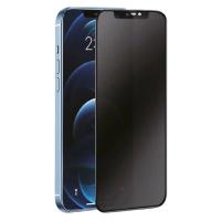 Newface iPhone 16 Plus 3D Antistatik Hayalet Cam Ekran Koruyucu