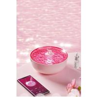 Newface Z5 Arktik Okyanus Temalı BT Kablosuz Hoparlör - Pembe