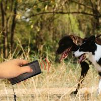 Ultrasonik Köpek Kovucu  ve Eğitici Cihaz