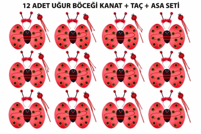 Uğur Böceği Kostüm Seti - Kanat Taç Asa 3 Parça 12 Adet