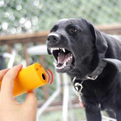 Ultrasonik Köpeksavar Köpek Kovucu Köpek Kornası Eğitim Cihazı